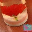 画像7: 昭和レトロ 水中花 栓抜き 赤い花 (7)