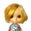 画像6: ネオブライス フルーツパンチ 2003年  EBL-12 箱無し TAKARA Blythe (6)