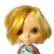 画像9: ネオブライス フルーツパンチ 2003年  EBL-12 箱無し TAKARA Blythe (9)