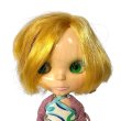 画像13: ネオブライス フルーツパンチ 2003年  EBL-12 箱無し TAKARA Blythe (13)