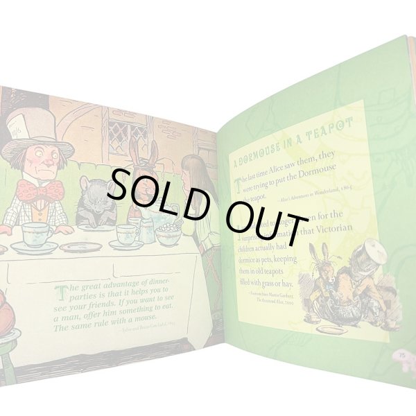 画像12: 洋書 不思議の国のアリス All things Alice リンダ・サンシャイン 2004年 (12)